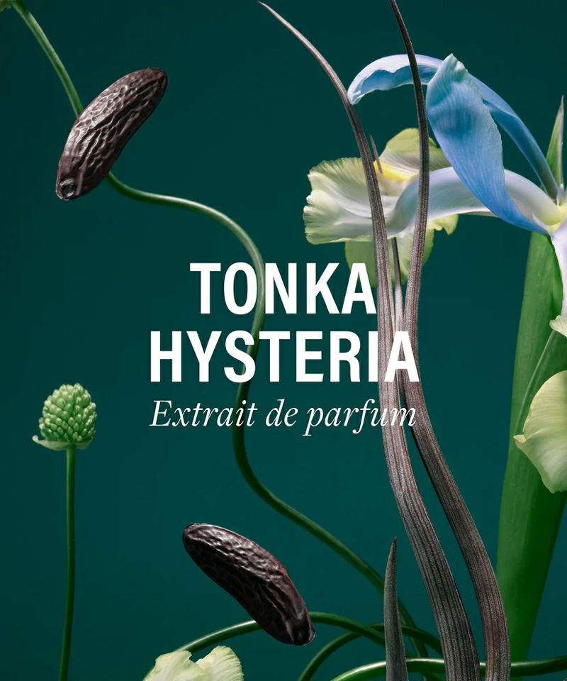 D'ORSAY＞トンカヒステリア | MAKES ONLINE STORE