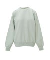 ＜AURALEE＞SMOOTH SOFT BD SWEAT P/O