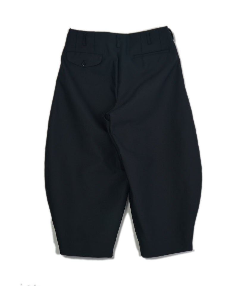BLACK COMME des GARCONS 24SSエステルショーツ COMME des GARCONS HOMME PLUS＞ エステルドビークロス（タイプA